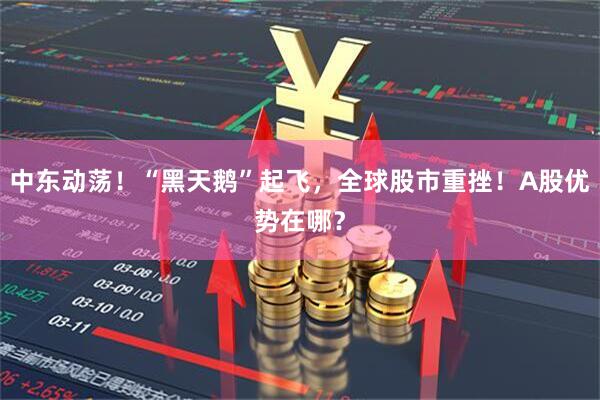 中东动荡！“黑天鹅”起飞，全球股市重挫！A股优势在哪？