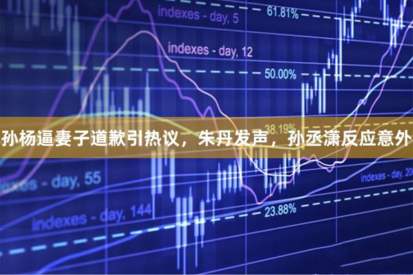 孙杨逼妻子道歉引热议，朱丹发声，孙丞潇反应意外
