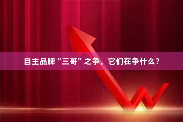 自主品牌“三哥”之争，它们在争什么？