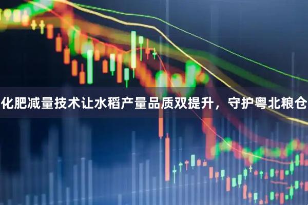 化肥减量技术让水稻产量品质双提升,守护粤北粮仓